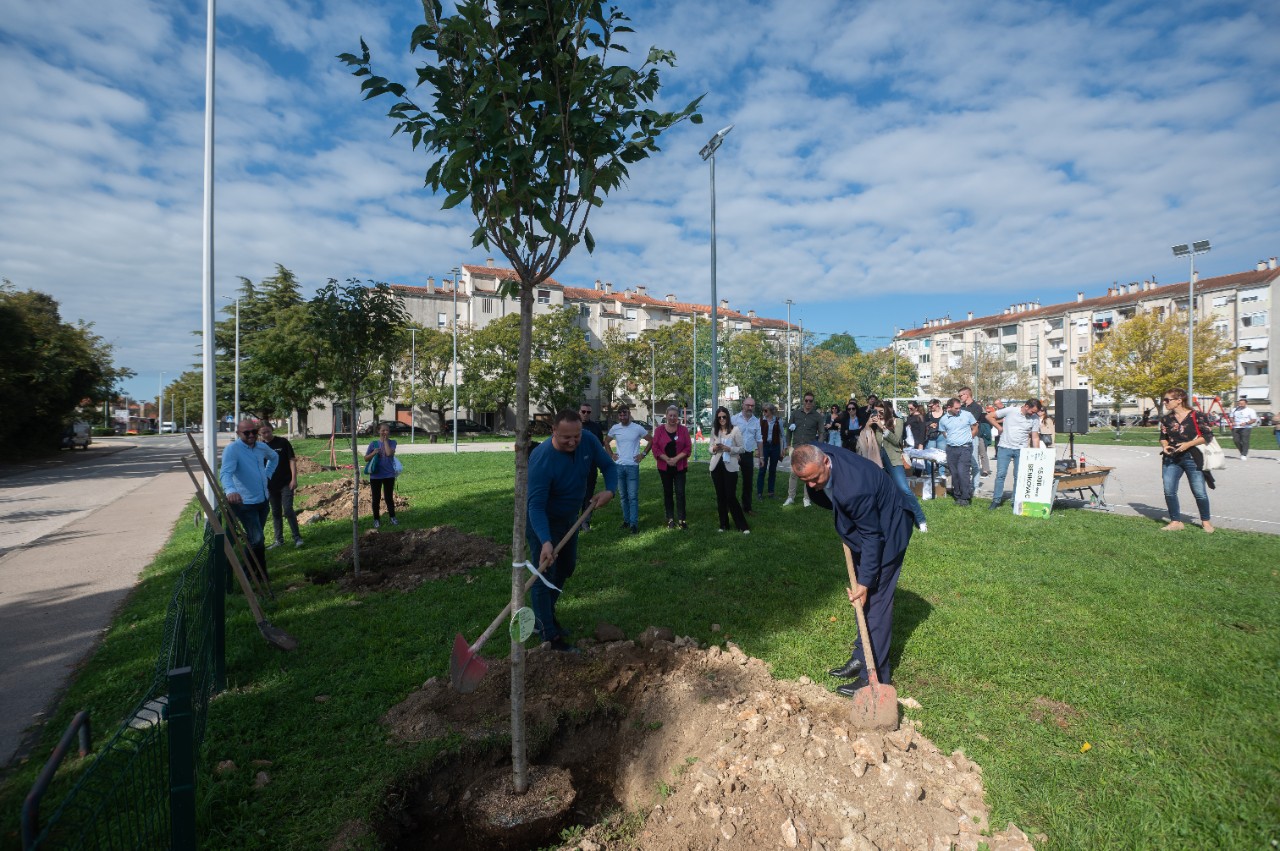 Benkovac, 221024.
Simbolicna sadnja stabala japanske tresnje u sklopu projekta Od izvora do izvora u organizaciji Coca-cole i Konzuma.
Foto: Luka Gerlanc / CROPIX