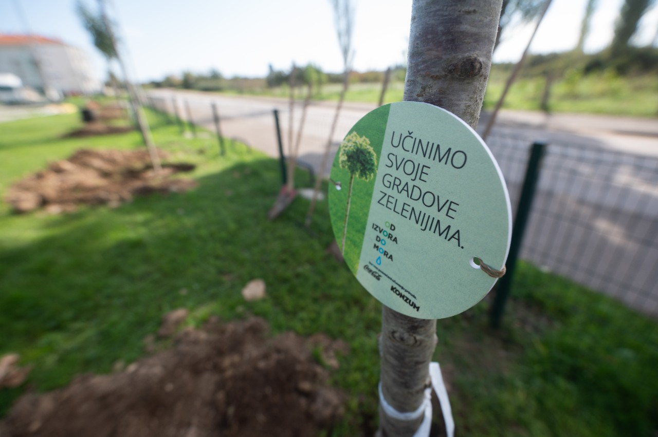Benkovac, 221024.
Simbolicna sadnja stabala japanske tresnje u sklopu projekta Od izvora do izvora u organizaciji Coca-cole i Konzuma.
Foto: Luka Gerlanc / CROPIX