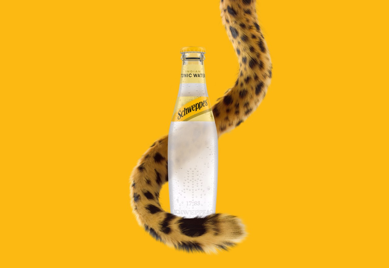 Sch-web-vizual-prijedlozi--1342x924px-02